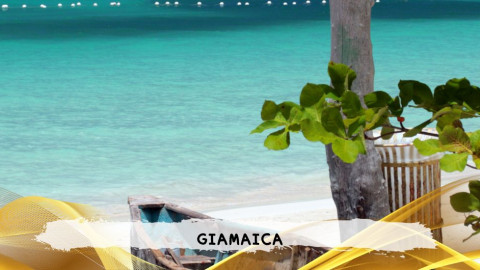 2026 giamaica 14 agosto T IN39
