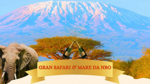 2025 africa gran safari e mare natale e capodanno IN38
