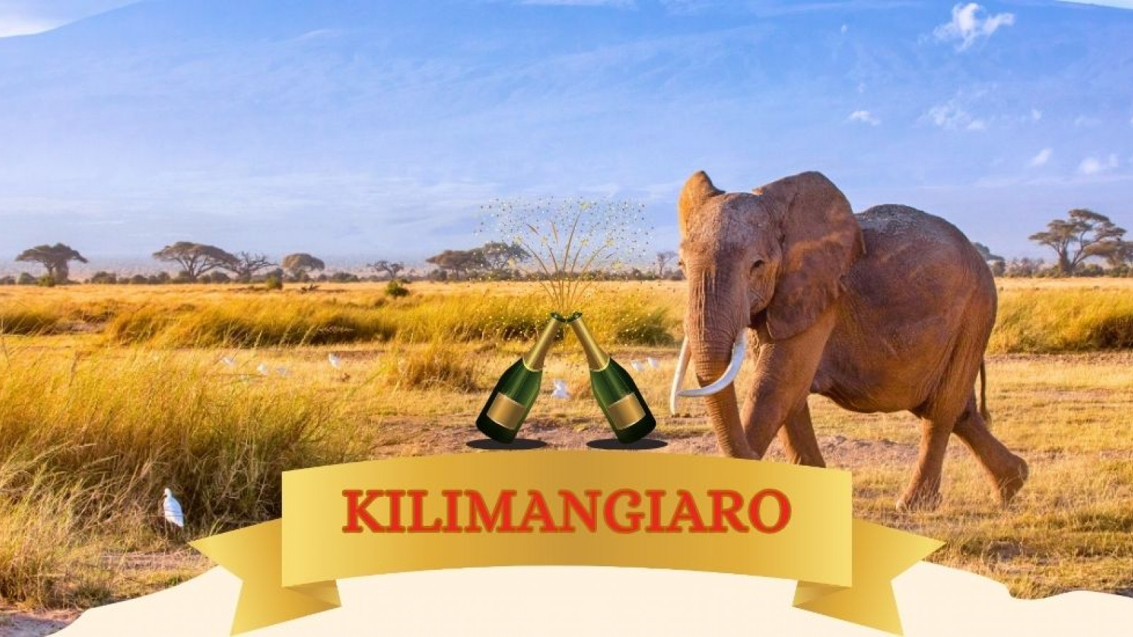 2025 africa kilimangiaro e mare natale e capodanno IN38
