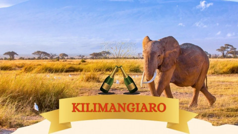 2025 africa kilimangiaro e mare natale e capodanno IN38
