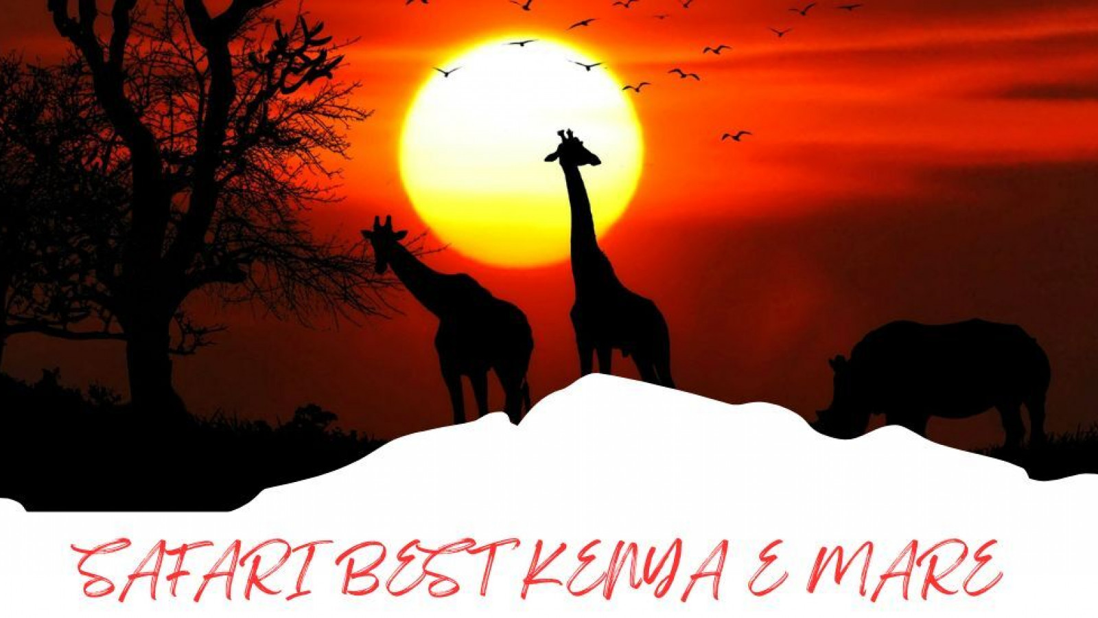 2025 africa best kenia e mare 25 IN38