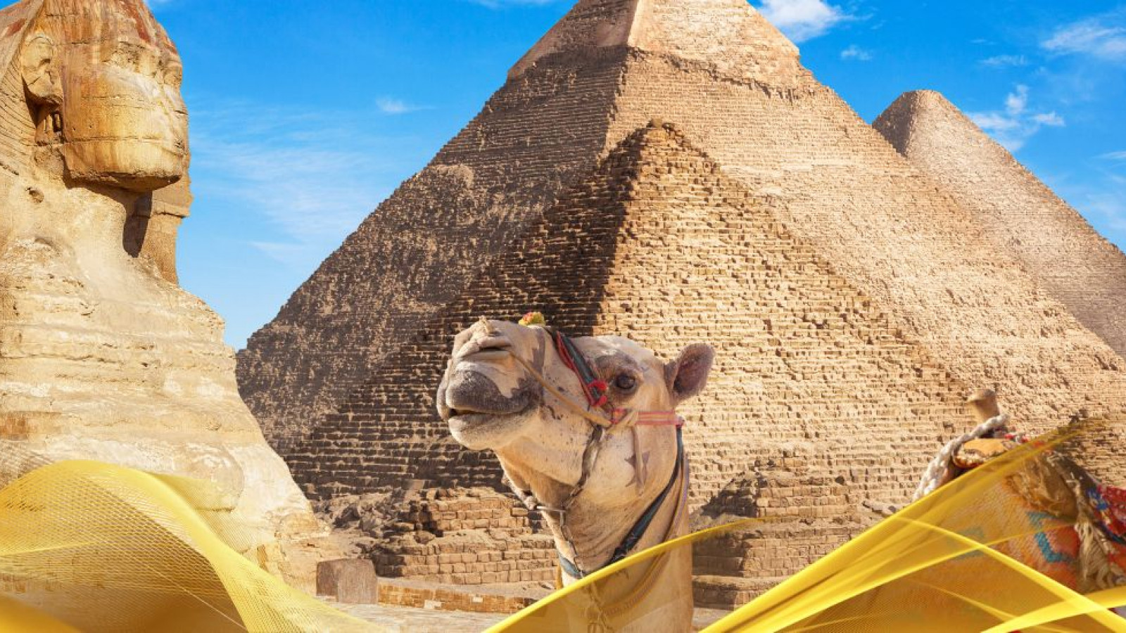 2026 cairo city break 31 05 N IN38