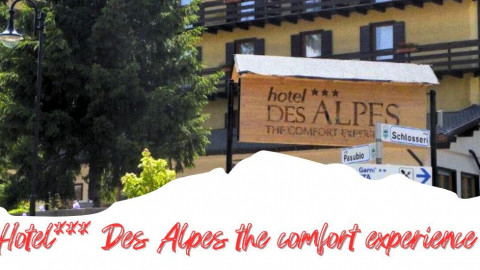 2025 trentino estate des alpes IN38