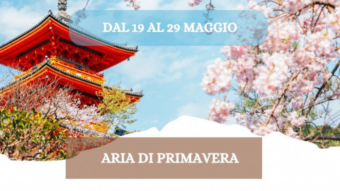 2026 W giappone aria di primavera 19 05 26 IN38