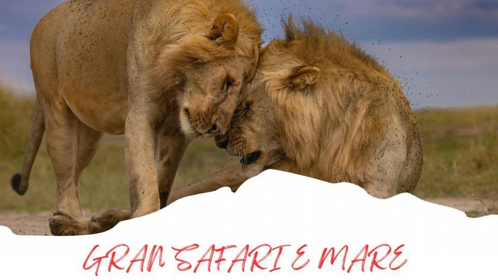 2025 africa gran safari e mare 25 IN38