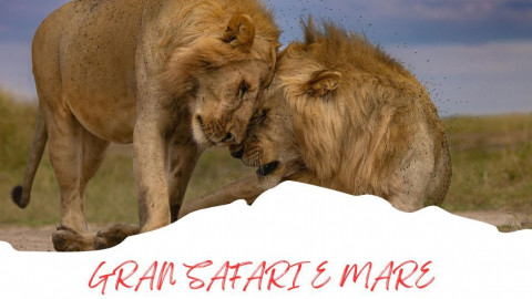 2025 africa gran safari e mare 25 IN38