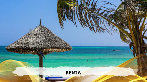 2026 kenya 9,14 08 T IN38