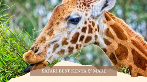 2025 africa best kenia e mare gennaio marzo 26 IN38