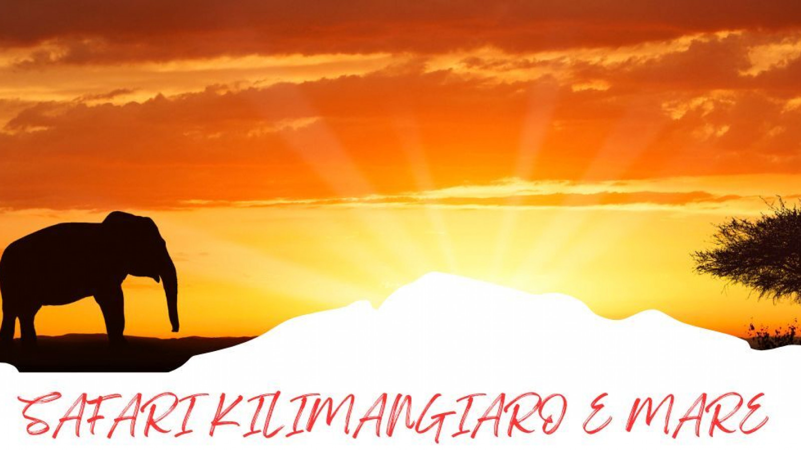 2025 africa kilimangiaro e mare 2025 IN38