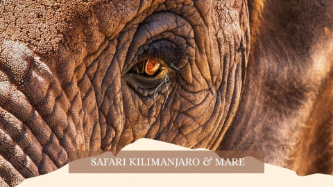2025 africa kilimangiaro e mare gennaio marzo 2025 IN38