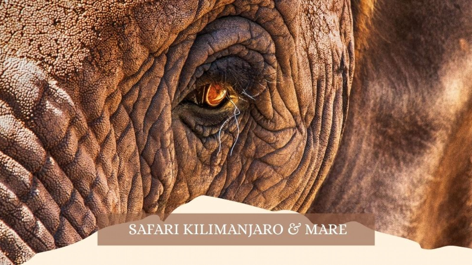 2025 africa kilimangiaro e mare gennaio marzo 2025 IN38