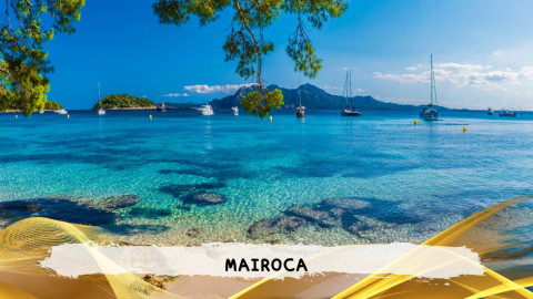 2026 maiorca 11 agosto napoli T IN38