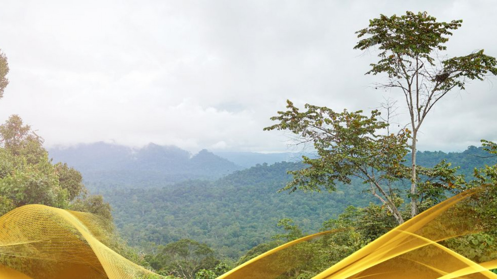 2026 malesia tour mare e altopiani 9 08 O IN38