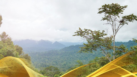 2026 malesia tour mare e altopiani 9 08 O IN38