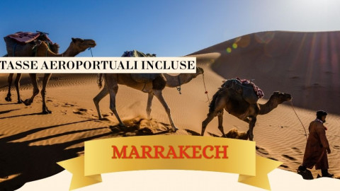 2025 marrakech immacolata 5 12 25 IN38
