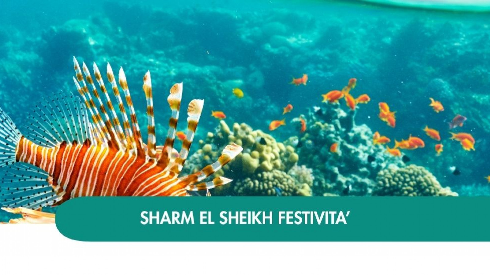 2026 sharm el sheikh queen festivita T IN38