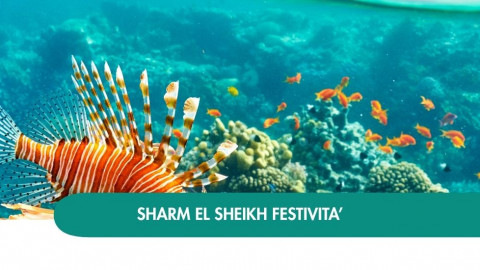 2026 sharm el sheikh queen festivita T IN38