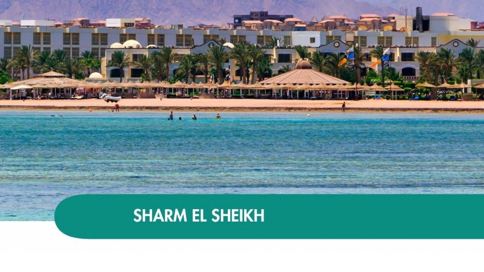 2026 sharm el sheikh queen immacolata T IN38