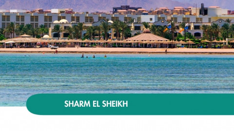 2026 sharm el sheikh queen immacolata T IN38