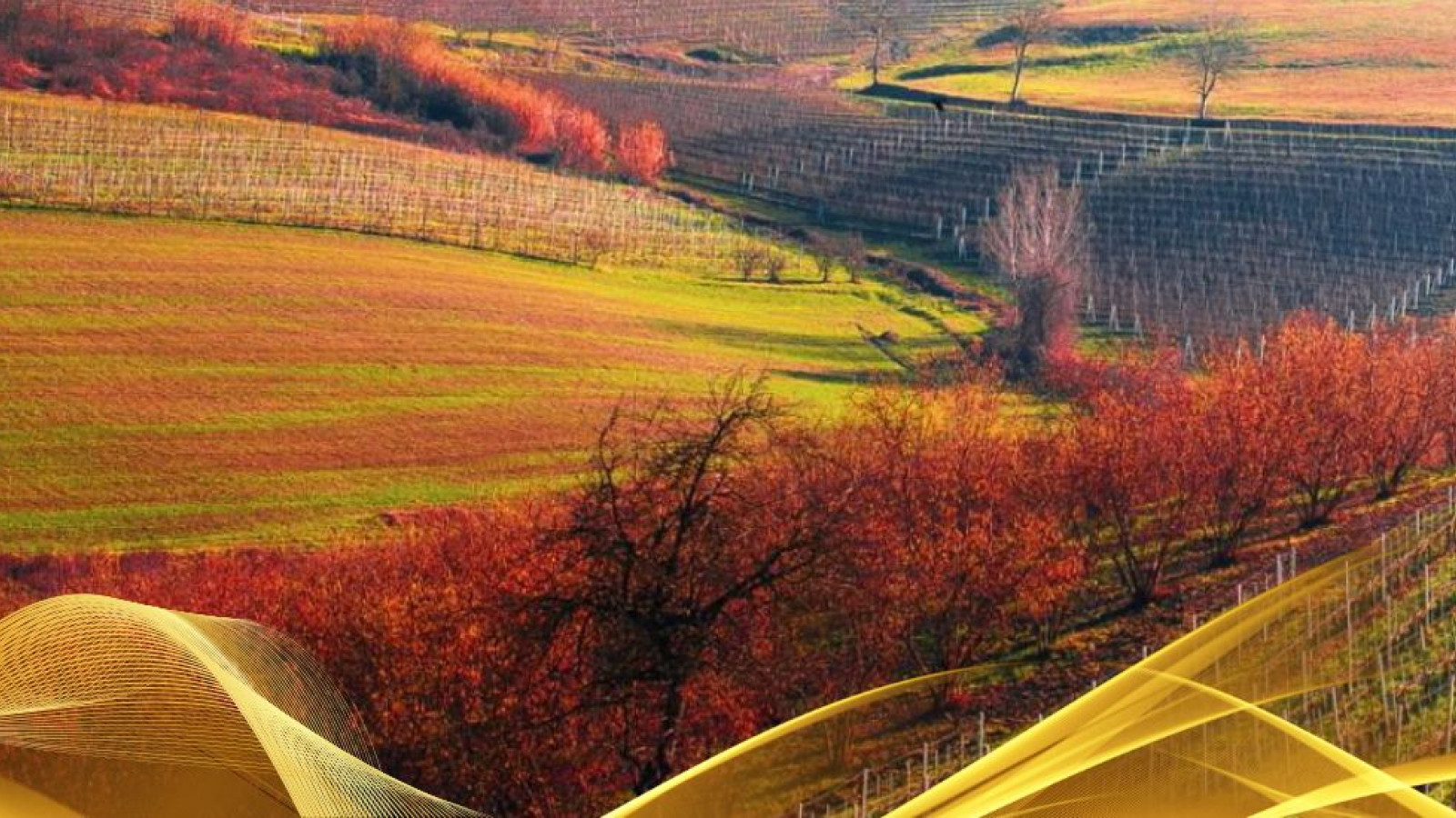 2026 W torino e le langhe 30 05 IN38