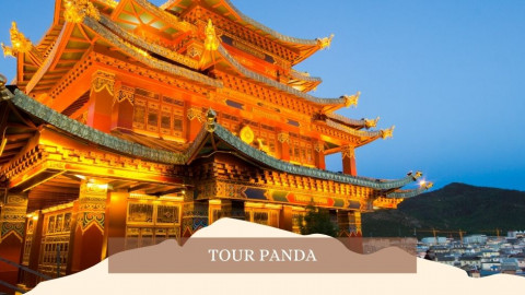 2026 cina tour panda 28 04 IN38