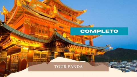 2026 cina tour panda 28 04 IN38