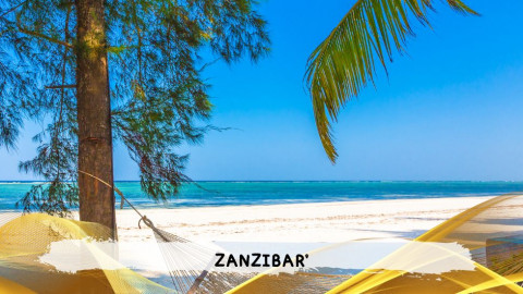 2026 zanzibar 11 08 T IN38